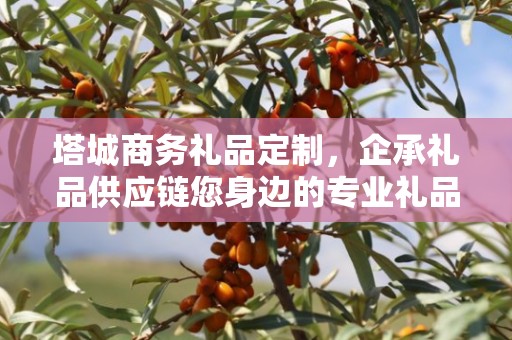 塔城商务礼品定制，企承礼品供应链您身边的专业礼品定制公司