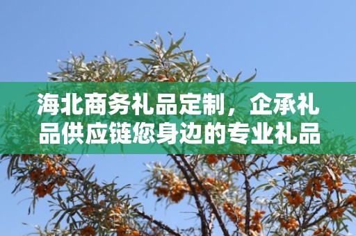 海北商务礼品定制，企承礼品供应链您身边的专业礼品定制公司