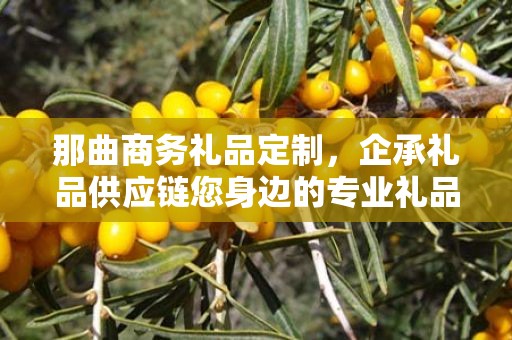 那曲商务礼品定制，企承礼品供应链您身边的专业礼品定制公司