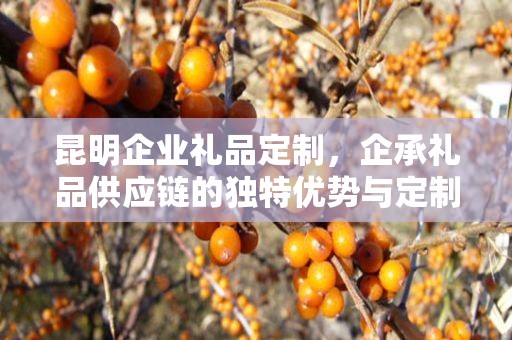 昆明企业礼品定制，企承礼品供应链的独特优势与定制之旅