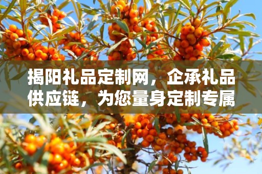 揭阳礼品定制网，企承礼品供应链，为您量身定制专属礼品