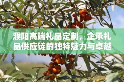 濮阳高端礼品定制，企承礼品供应链的独特魅力与卓越服务