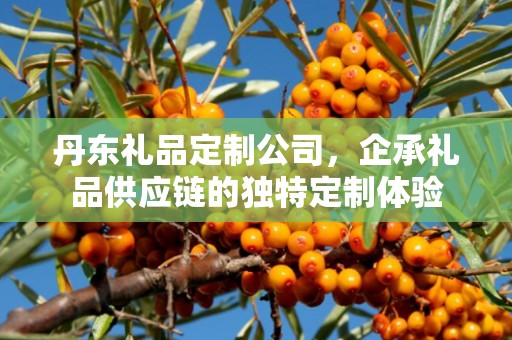 丹东礼品定制公司，企承礼品供应链的独特定制体验