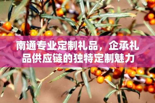 南通专业定制礼品，企承礼品供应链的独特定制魅力