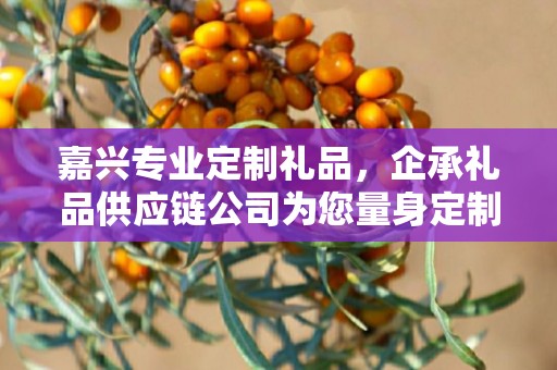 嘉兴专业定制礼品，企承礼品供应链公司为您量身定制的独特礼品