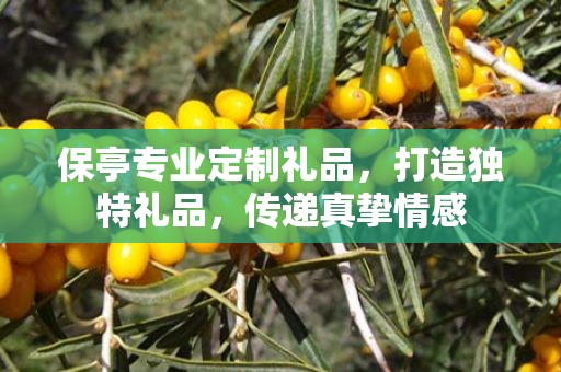 保亭专业定制礼品，打造独特礼品，传递真挚情感