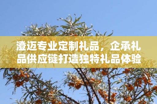 澄迈专业定制礼品，企承礼品供应链打造独特礼品体验