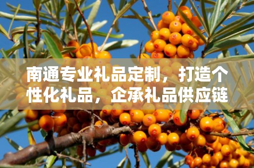南通专业礼品定制，打造个性化礼品，企承礼品供应链卓越服务