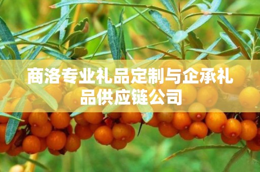 商洛专业礼品定制与企承礼品供应链公司