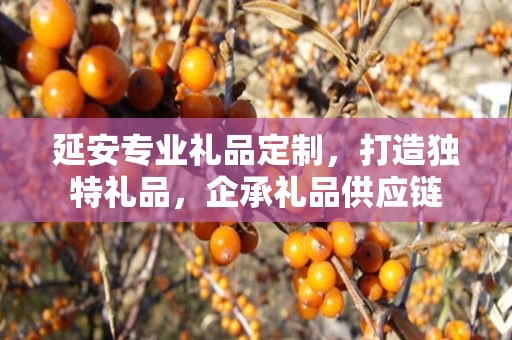 延安专业礼品定制，打造独特礼品，企承礼品供应链