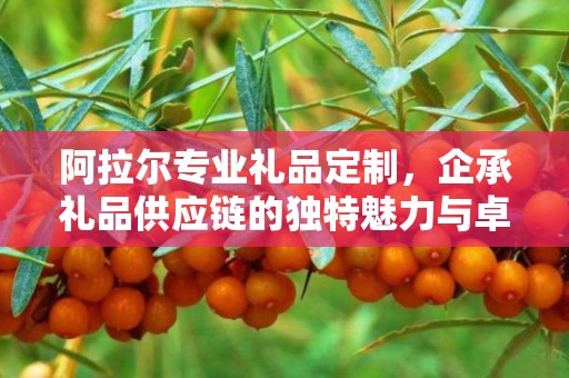 阿拉尔专业礼品定制，企承礼品供应链的独特魅力与卓越服务