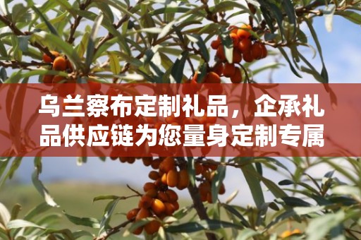 乌兰察布定制礼品，企承礼品供应链为您量身定制专属礼品