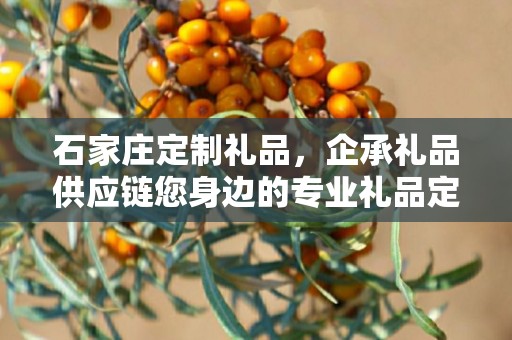 石家庄定制礼品，企承礼品供应链您身边的专业礼品定制公司