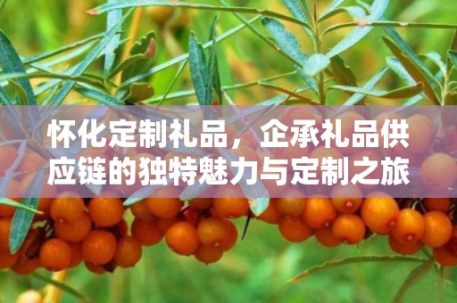 怀化定制礼品，企承礼品供应链的独特魅力与定制之旅