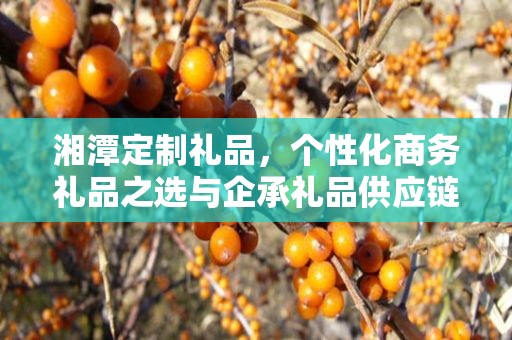 湘潭定制礼品，个性化商务礼品之选与企承礼品供应链的深度联动