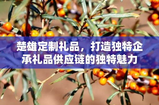 楚雄定制礼品，打造独特企承礼品供应链的独特魅力