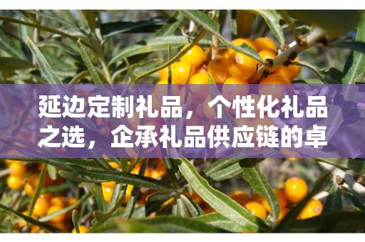 延边定制礼品，个性化礼品之选，企承礼品供应链的卓越服务