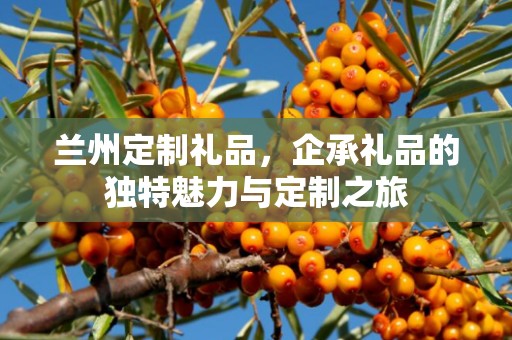 兰州定制礼品，企承礼品的独特魅力与定制之旅