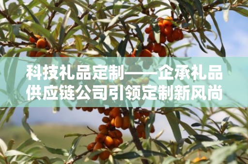 科技礼品定制——企承礼品供应链公司引领定制新风尚
