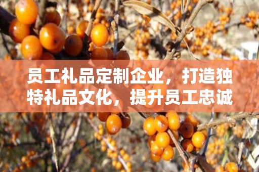员工礼品定制企业，打造独特礼品文化，提升员工忠诚度与归属感