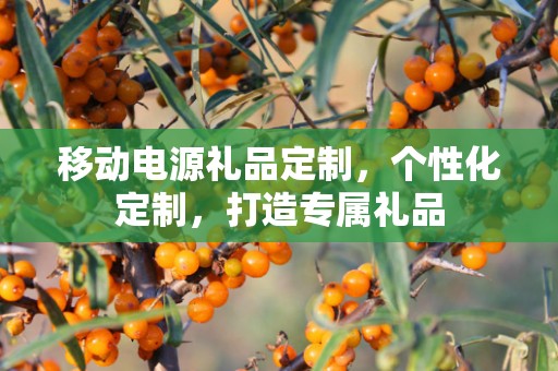 移动电源礼品定制，个性化定制，打造专属礼品
