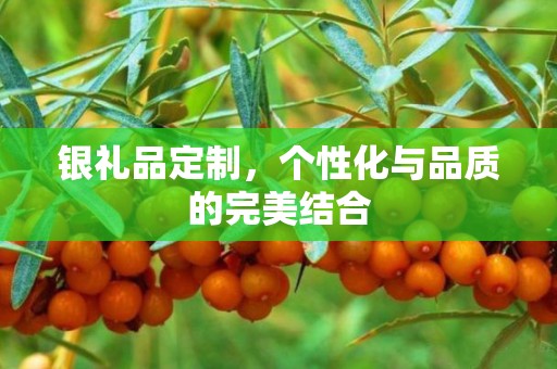 银礼品定制，个性化与品质的完美结合