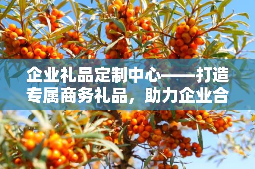 企业礼品定制中心——打造专属商务礼品，助力企业合作与发展