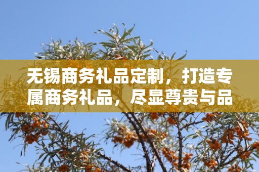 无锡商务礼品定制，打造专属商务礼品，尽显尊贵与品味