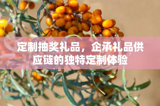 定制抽奖礼品，企承礼品供应链的独特定制体验