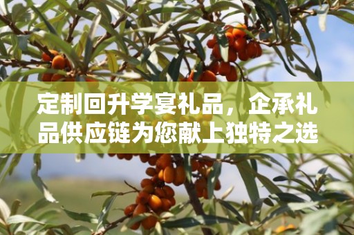 定制回升学宴礼品，企承礼品供应链为您献上独特之选