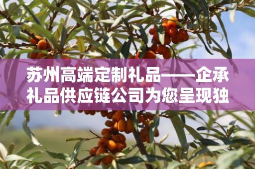 苏州高端定制礼品——企承礼品供应链公司为您呈现独特之选