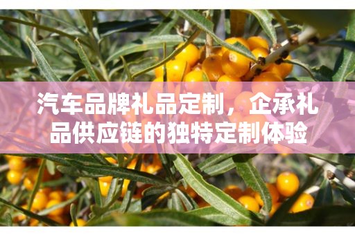 汽车品牌礼品定制，企承礼品供应链的独特定制体验