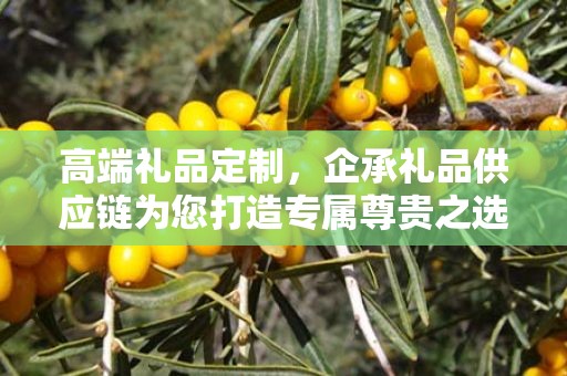 高端礼品定制，企承礼品供应链为您打造专属尊贵之选