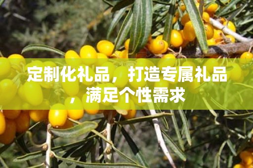 定制化礼品，打造专属礼品，满足个性需求