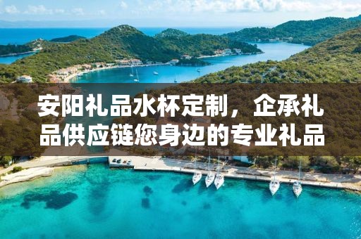 安阳礼品水杯定制，企承礼品供应链您身边的专业礼品定制公司