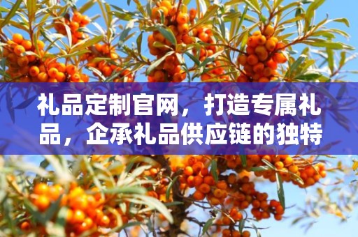 礼品定制官网，打造专属礼品，企承礼品供应链的独特魅力
