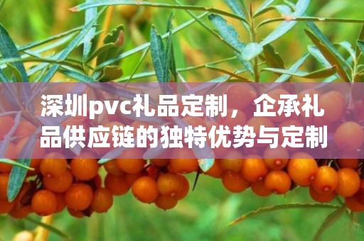 深圳pvc礼品定制，企承礼品供应链的独特优势与定制之旅