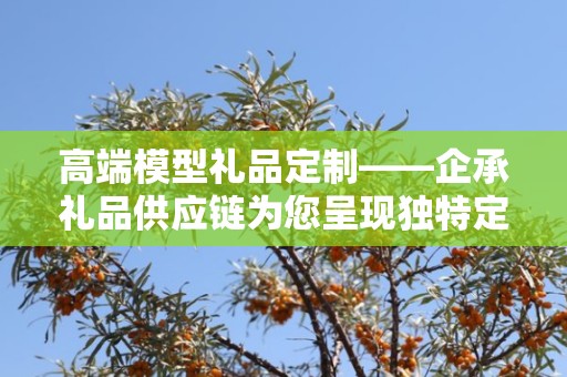 高端模型礼品定制——企承礼品供应链为您呈现独特定制体验