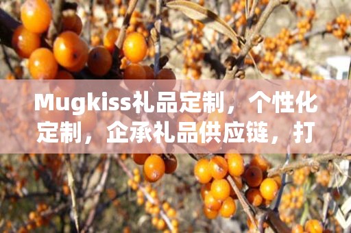Mugkiss礼品定制，个性化定制，企承礼品供应链，打造专属礼品体验